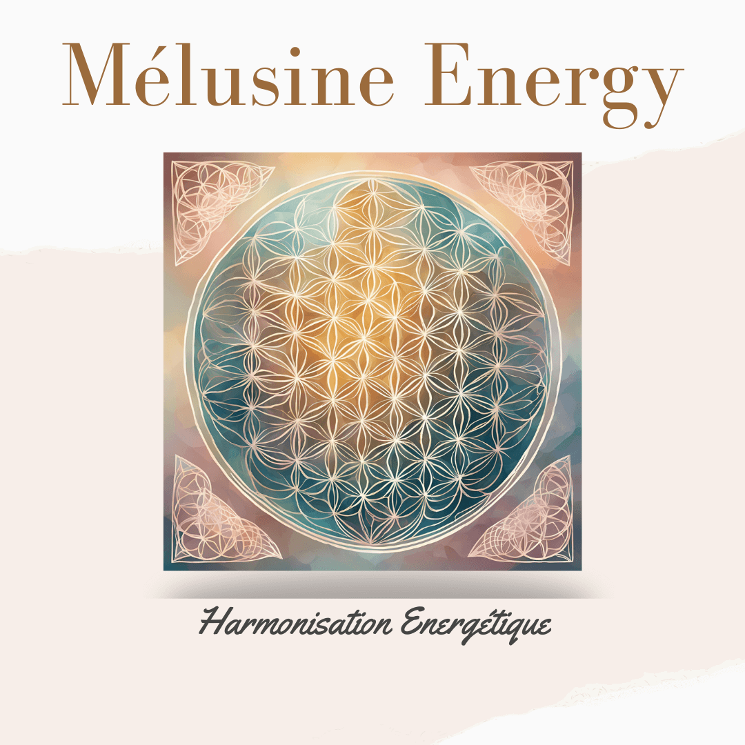 LOGO/ Melusine Energy